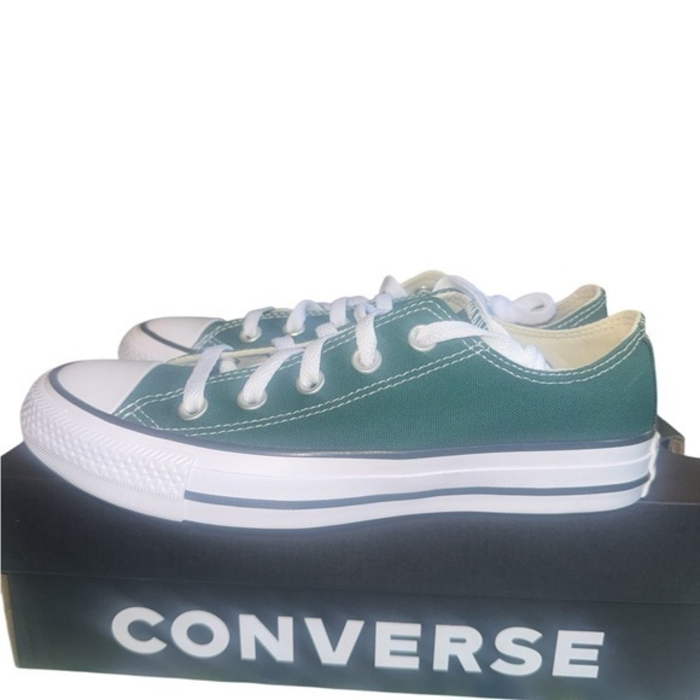 ❇️NWT❇️Converse All Star CTAS Dragon Scale Ox
